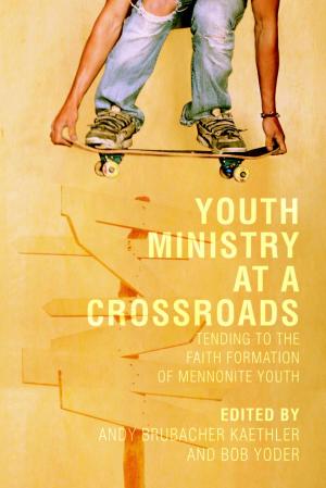 Cover of the book Youth Ministry at a Crossroads by Louise A. Vernon