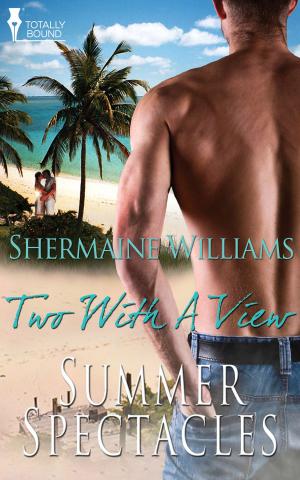 Cover of the book Two with a View by Jessica Jarman