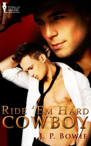 Cover of the book Ride 'Em Hard Cowboy by Molly Anne Wishlade