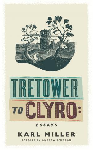 Cover of the book Tretower to Clyro by Jo-Anne Vandermeulen