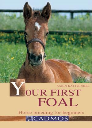 Book cover of Your First Foal: Horse Breeding for Beginners