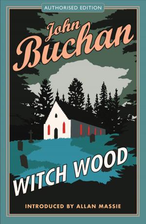 Cover of the book Witch Wood by Liz Lochhead