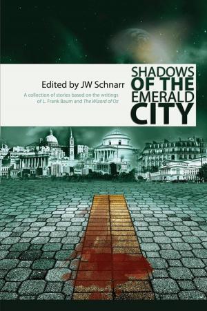 Cover of the book Shadows of the Emerald City by Liam M. Taylor