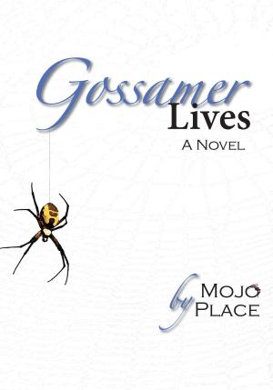 Cover of the book Gossamer Lives by Brandon Carlscon
