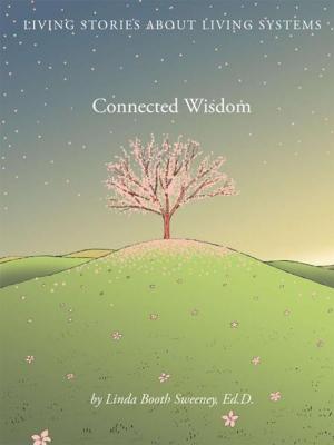 Book cover of Connected Wisdom