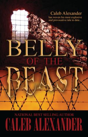 Cover of the book Belly of the Beast by Vanessa D. Werts