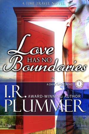 Book cover of Love Has No Boundaries