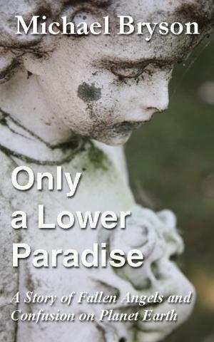 Cover of the book Only A Lower Paradise by Andrea Maller