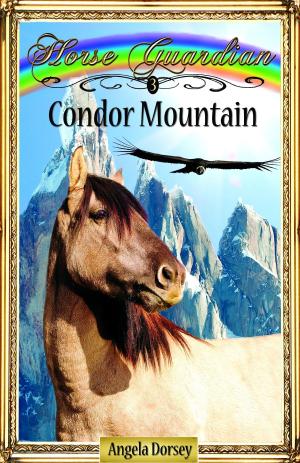 Book cover of Condor Mountain