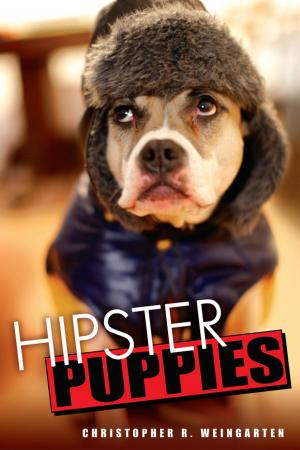 Cover of the book Hipster Puppies by Reif Larsen