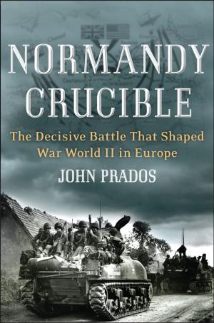 Cover of the book Normandy Crucible by Kevin Flynn