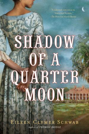 bigCover of the book Shadow of a Quarter Moon by 