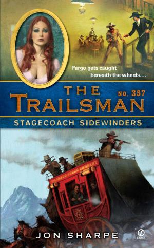 bigCover of the book The Trailsman #357 by 