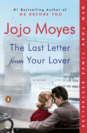 Cover of the book The Last Letter from Your Lover by Rennie Airth