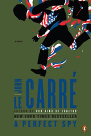 Cover of the book A Perfect Spy by Catherine Coulter