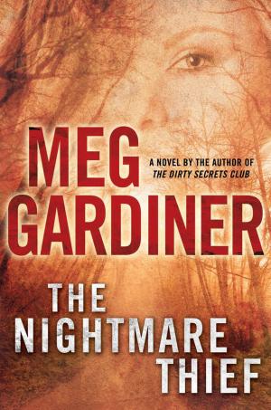 bigCover of the book The Nightmare Thief by 