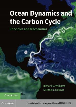 Cover of the book Ocean Dynamics and the Carbon Cycle by Waller R. Newell