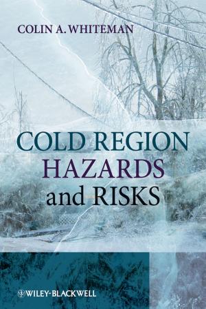 Cover of the book Cold Region Hazards and Risks by Joseph L. Fleiss, Bruce Levin, Myunghee Cho Paik