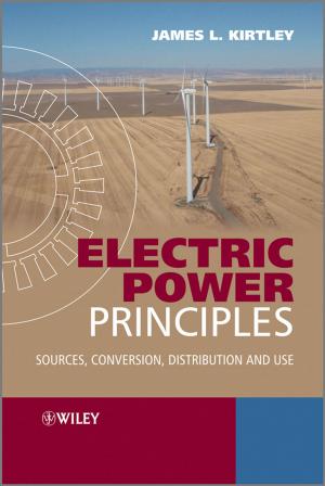 Cover of the book Electric Power Principles by Rogelio Sáenz, Maria Cristina Morales