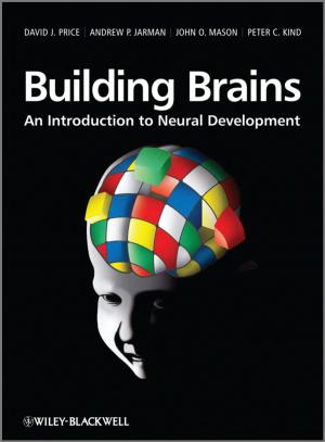 Cover of the book Building Brains by Payam Nayeri, Fan Yang, Atef Z. Elsherbeni