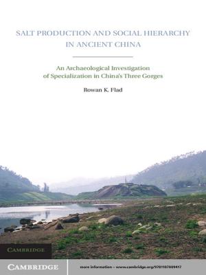 Cover of the book Salt Production and Social Hierarchy in Ancient China by Donald J. Lisio