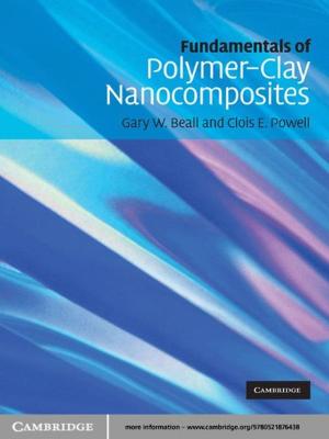 Book cover of Fundamentals of Polymer-Clay Nanocomposites