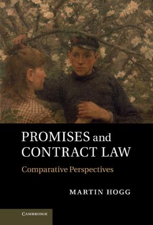 Cover of the book Promises and Contract Law by Reinhard Pirngruber