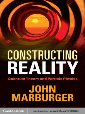Cover of the book Constructing Reality by Samuel Schindler