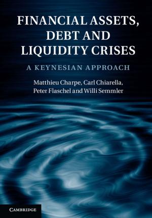 Cover of the book Financial Assets, Debt and Liquidity Crises by Will Abberley