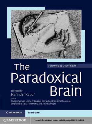 Cover of the book The Paradoxical Brain by Lidewijde de Jong