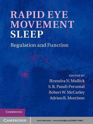 Cover of the book Rapid Eye Movement Sleep by Peter Hunt