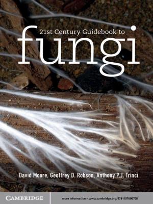 Cover of the book 21st Century Guidebook to Fungi by Ali Rahnema