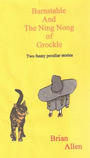 Book cover of Barnstable and The Ning Nong of Grockle
