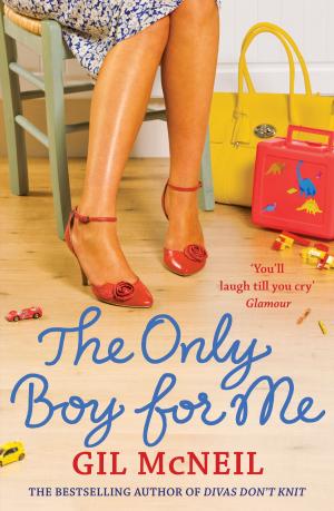 Cover of the book The Only Boy for Me by Briana Terman