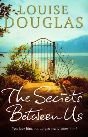 bigCover of the book The Secrets Between Us by 