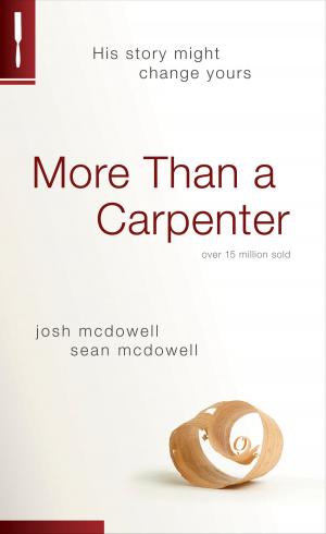 Cover of the book More Than a Carpenter by Jerry B. Jenkins, Tim LaHaye
