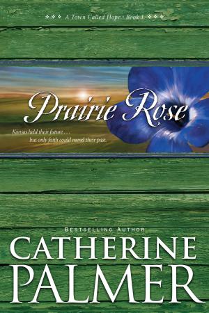 Book cover of Prairie Rose