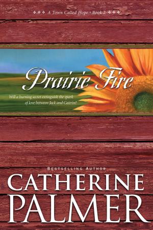 Cover of the book Prairie Fire by Barbara Rosberg, Gary Rosberg