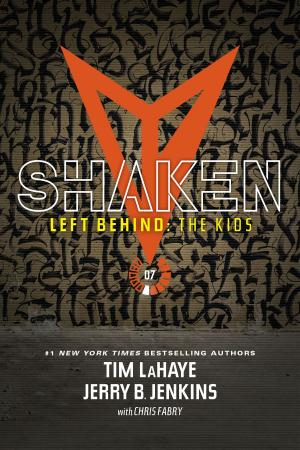 Cover of the book Shaken by Chris Fabry
