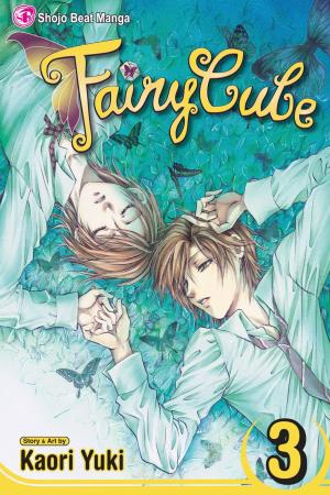 Book cover of Fairy Cube, Vol. 3