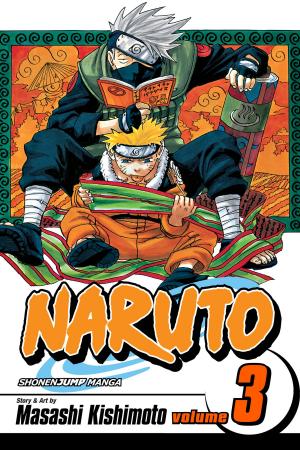 Book cover of Naruto, Vol. 3