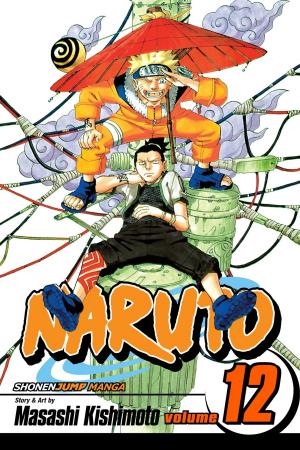 Cover of the book Naruto, Vol. 12 by Akihisa Ikeda