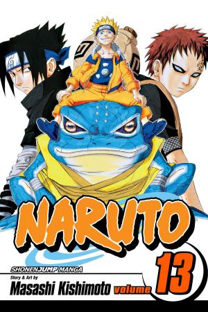 Book cover of Naruto, Vol. 13