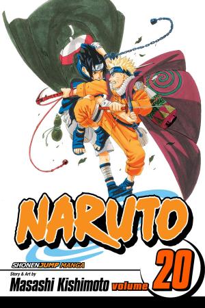 Cover of the book Naruto, Vol. 20 by Cairiel Ari