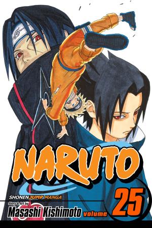 bigCover of the book Naruto, Vol. 25 by 