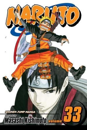 Book cover of Naruto, Vol. 33