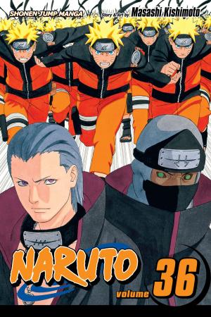 Book cover of Naruto, Vol. 36