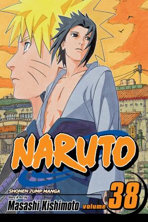 Book cover of Naruto, Vol. 38