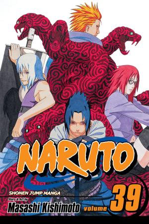 Book cover of Naruto, Vol. 39
