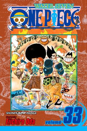 Book cover of One Piece, Vol. 33